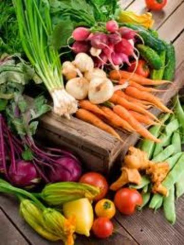 Early Childhood: Biosocial Development