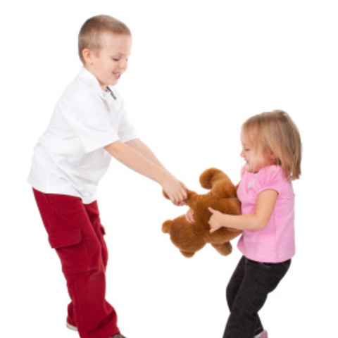 Early Childhood: Biosocial: Brain Development