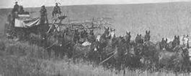 Farming with my Brother