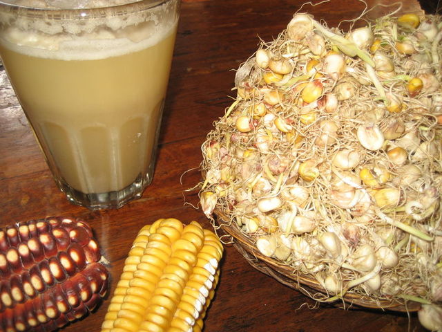 C.E. Beer in the New World