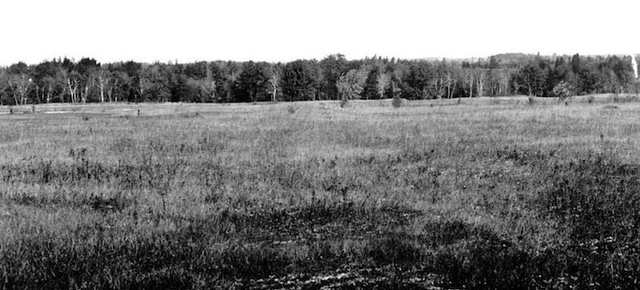 start hearing about life in the west