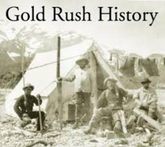 The gold rush