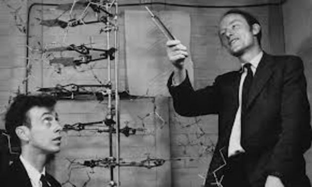 Watson & Crick Double Helix