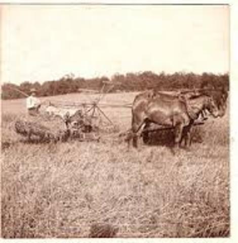 Beginning of my farm