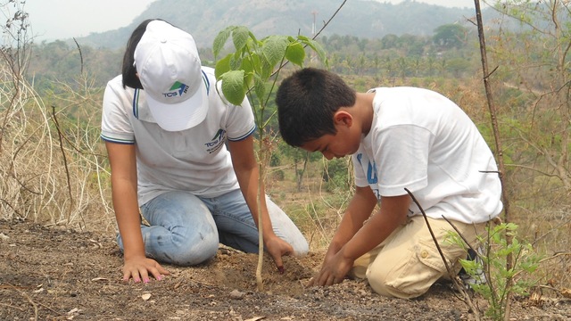 Jornandas de educación ambiental en España