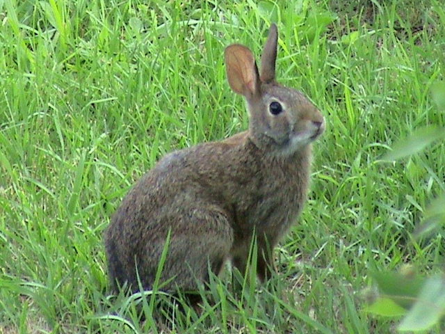 One Important Event From My Life