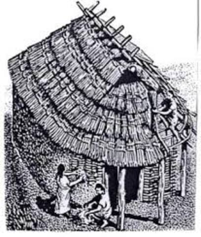 Science & Technology