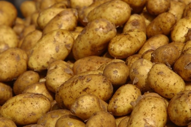 Potatoe Famine