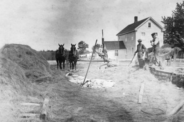 First Harvest and a New Job