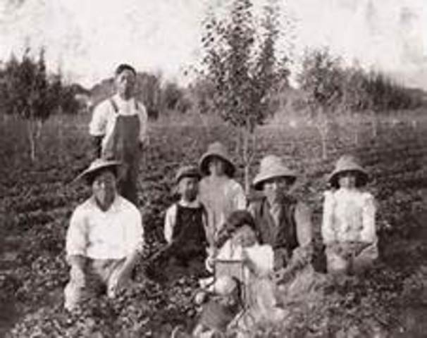 Loosing Land (Introduction)