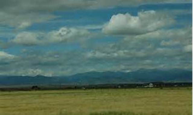 Tired of the city life