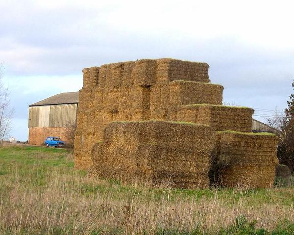 Start hiding in the haystack