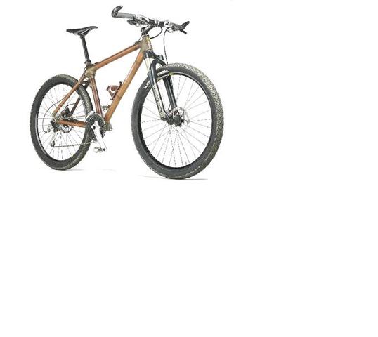Launch Bamboo Bikes
