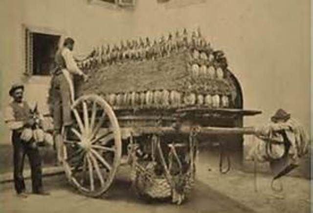 I get my own vineyard