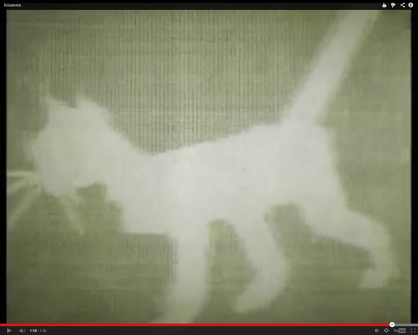 модель движения кошки