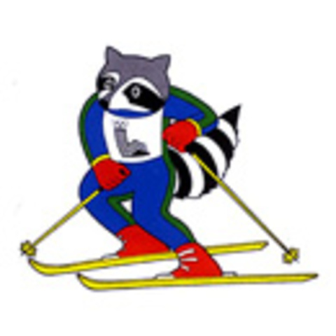 XIII зимние Олимпийские игры в Лейк-Плэсиде (штат Нью-Йорк, США)