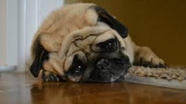 A Signifificant loss occurs