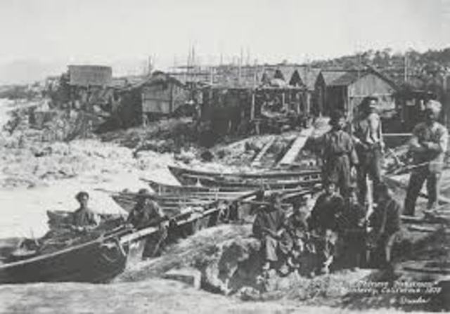 Immigration Beginings