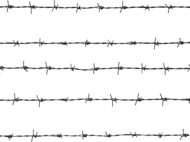 Barbed Wire