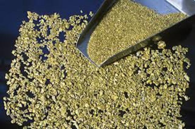 The California Gold Rush