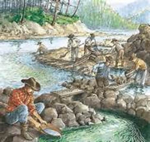 The California Gold Rush