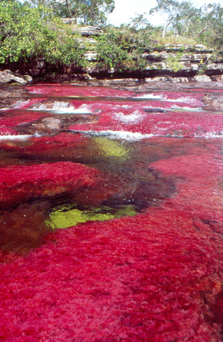 Sierra de la Macarena