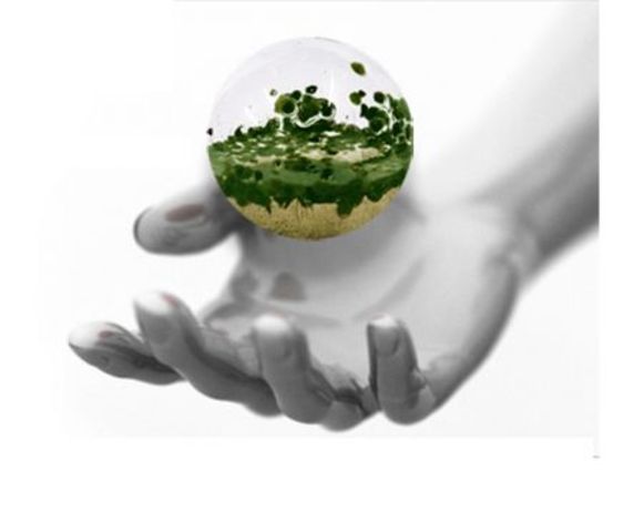 El hombre y la Biosfera