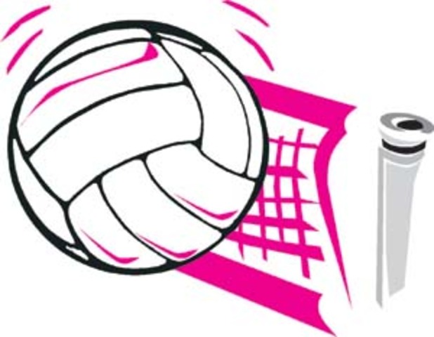 Liga Mundial de Voleibol