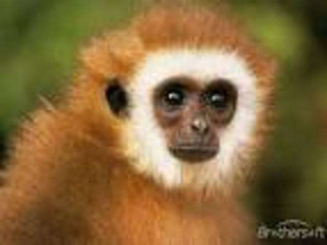 Start of something new