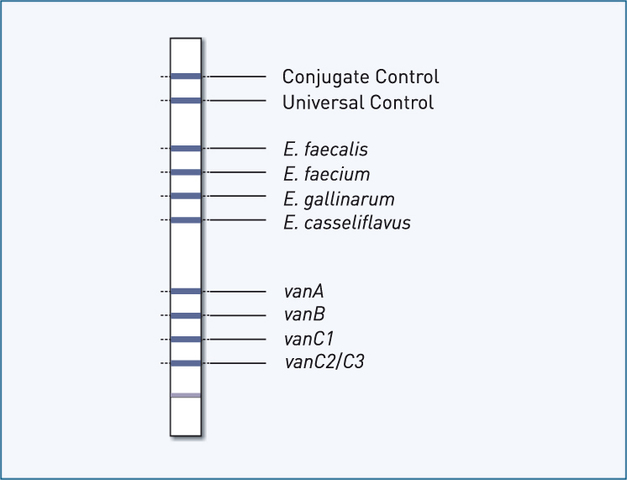 Positive enterococcal tests percentage