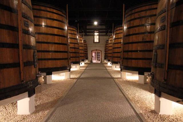 LUIZA- FUI PARA PORTUGAL