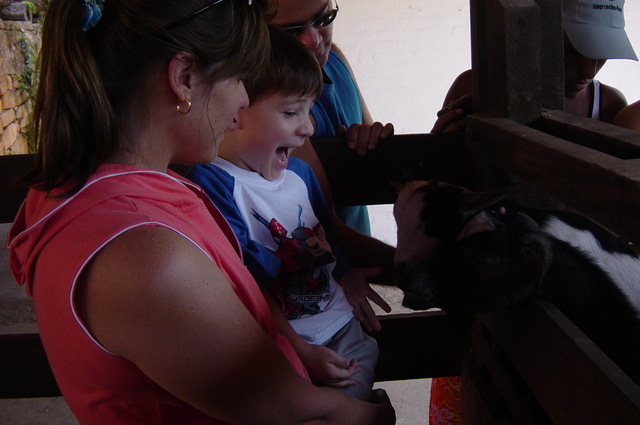 fazenda de chocolate
