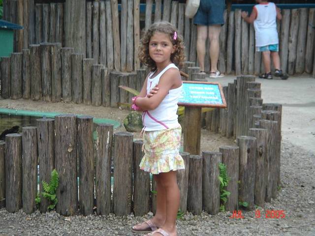 Projeto Tamar Luisa V.