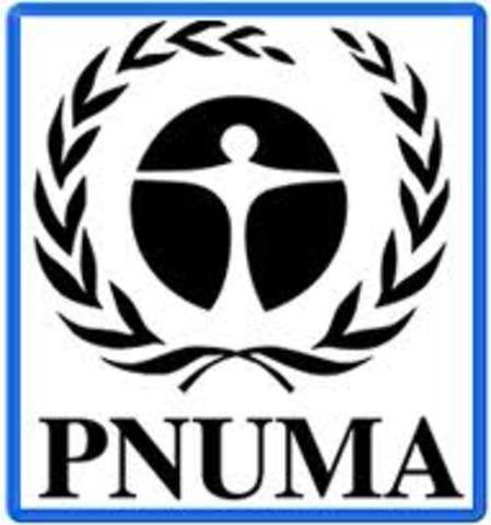 PNUMA