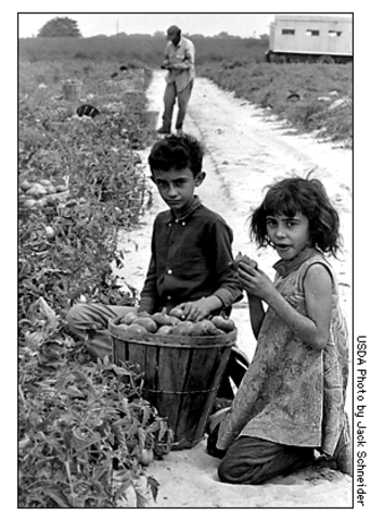 Pull Factors for Immigration