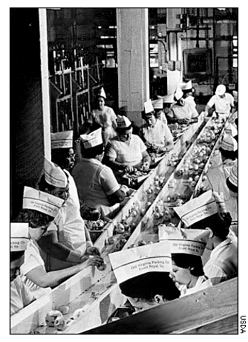 Working in Factories