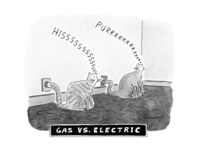 Gas vs. Electric