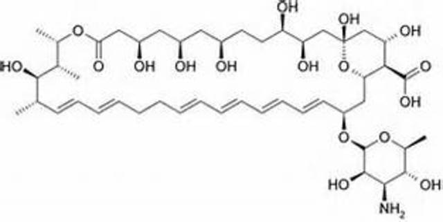 1st Antifungal agent Nystatin Is Discovered