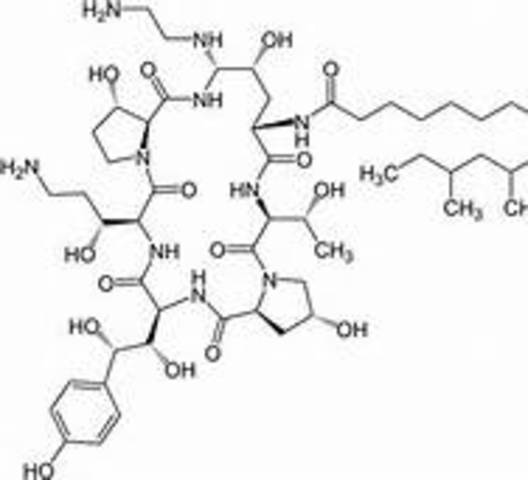 Caspofungin Is FDA Approved