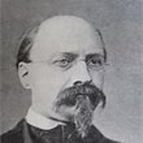 Candida Albicans Is Classified