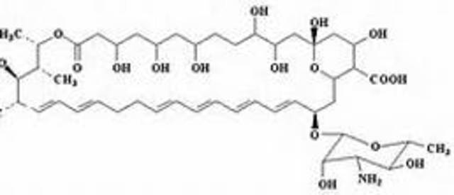 1st Use of Amphotericin B