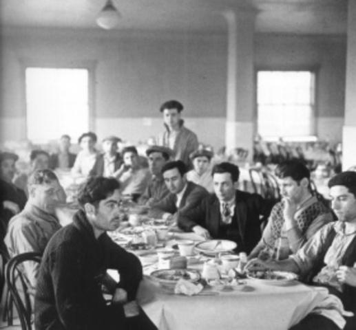 Why Must They Stereotype Us?