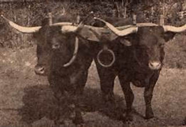 The Escape & Begining of Journey