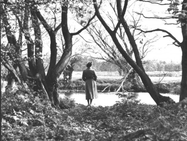 Katie O'Malley moved to the West and got land