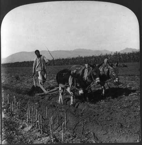 I got a job doing what I am good at and love