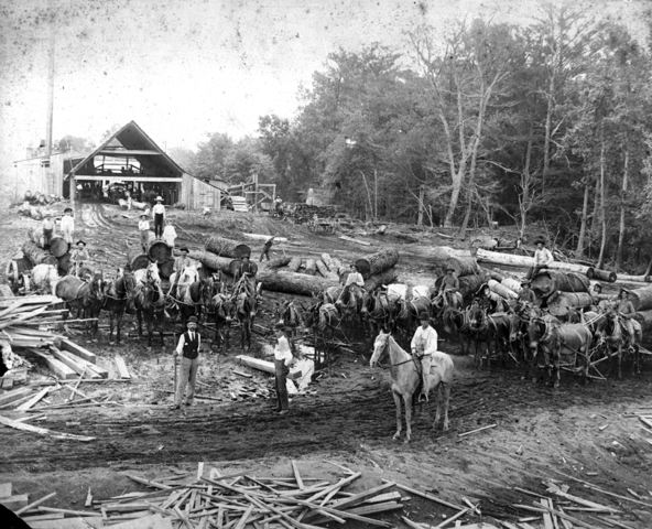 Sells land for Lumber Corp.