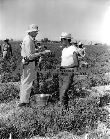 I didn't get the land