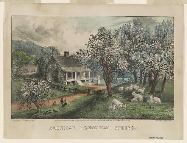 We Own the land now!