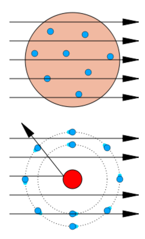 The Discovery of the Nucleus