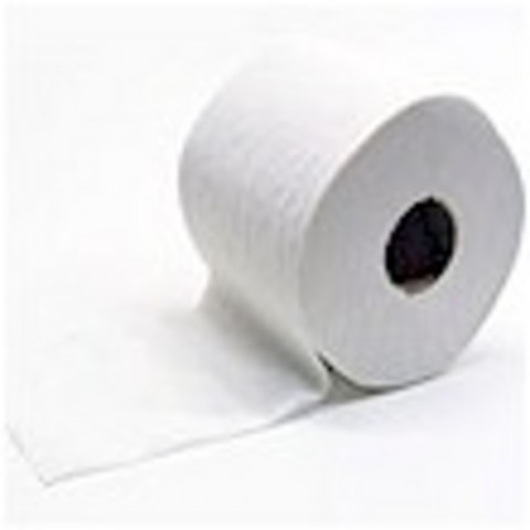 invention of toilet paper